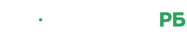 Профессионал РБ